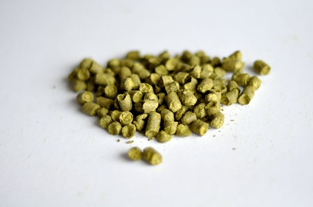 Styrian Golding, Slovenia, Pellet